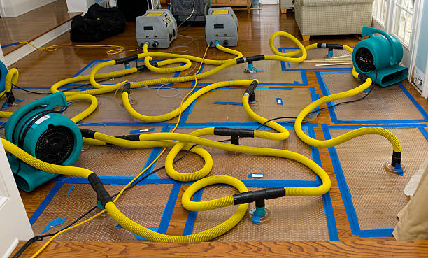 Professional Burst Pipe Water Damage technician working in Molino, FL